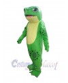 Frog mascot costume