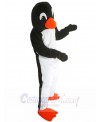 Penguin mascot costume