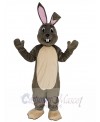 Easter Bunny mascot costume