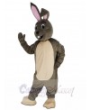 Easter Bunny mascot costume