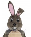 Easter Bunny mascot costume