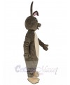 Easter Bunny mascot costume