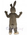 Easter Bunny mascot costume