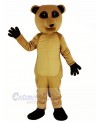 Meerkat Mascot Costume Animal