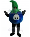 Blueberry mascot costume