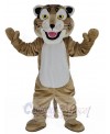 Bobcat Mascot Costume