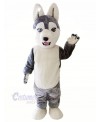 Cute Grey Siberian Husky Dog Mascot Costumes Animal