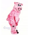 Beautiful Pink Pig Mascot Costumes Animal