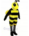 Black and Yellow Bee Mascot Costumes Animal