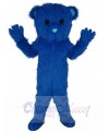 Bear mascot costume