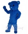 Bear mascot costume