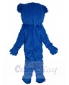 Bear mascot costume