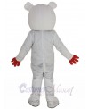 Bear mascot costume
