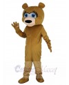 Bear mascot costume