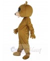 Bear mascot costume