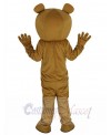 Bear mascot costume