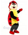 Cute Ladybug Mascot Costumes Cartoon	