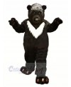 Big Black Bear Mascot Costumes Animal