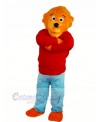 Funny Lion with Red Sweater Mascot Costumes Animal