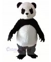 Panda with Long Eyelashes Mascot Costumes Animal