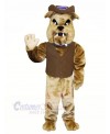 Brown Bulldog with Vest Mascot Costumes Animal	