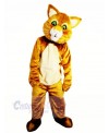 Brown Cat with Green Eyes Mascot Costumes Animal