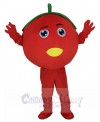 Tomato mascot costume