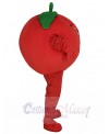 Tomato mascot costume