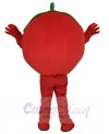 Tomato mascot costume