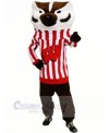 Strong Bucky Badger Mascot Costumes Animal