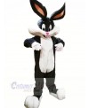 Cute Bunny with Long Ears Mascot Costumes Animal