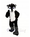 Skunk Mascot Costumes 