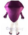 Diamond mascot costume