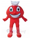 Aircraft mascot costume