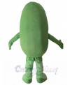 Cucumber mascot costume