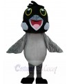 Bulbul Bird mascot costume