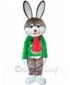 Bunny Rabbit mascot costume