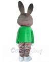 Bunny Rabbit mascot costume