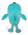 Dolphin mascot costume