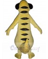 Meerkat mascot costume