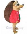 Hedgehog mascot costume