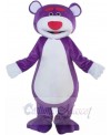 Bear mascot costume