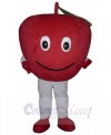 Apple Fruit mascot costume