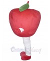 Apple Fruit mascot costume