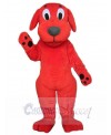Clifford Dog mascot costume