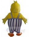 Duck mascot costume
