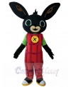 Rabbit mascot costume