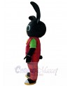 Rabbit mascot costume