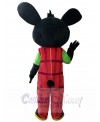 Rabbit mascot costume