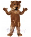 Bear mascot costume